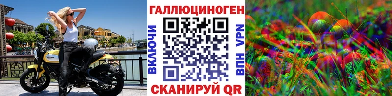 Купить  Дмитриев  Псилоцибиновые грибы Psilocybe 