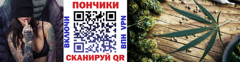 Бошки марихуана THC 21%  Купить где  Дмитриев 